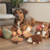 Anteprima Autunno in Pet Shop: le nuove collezioni Beeztees tra comfort e gioco indoor.