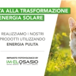Alpi Service sceglie l’energia solare: un passo concreto verso la sostenibilità.